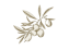 zeytin_gorseli-removebg-preview.png
