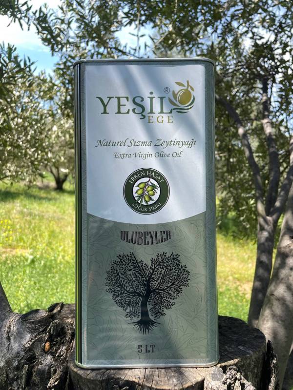 Yeşil Ege - Ayvalık Erken Hasat Soğuk Sıkım Zeytinyağı 5000 ML