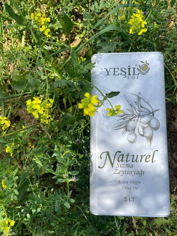 Yeşil Ege - Ayvalık Olgun Hasat Soğuk Sıkım Zeytinyağı 5000 ML