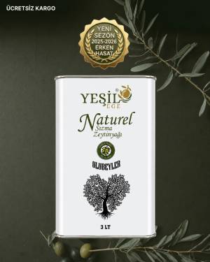 Yeşil ege Kuzey ege doğal sızma zeytinyağı 3 litre teneke